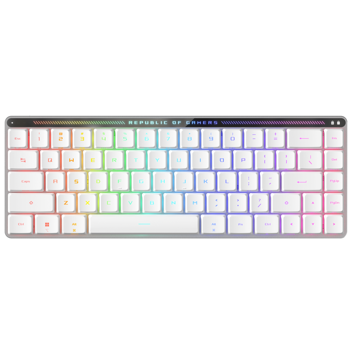 ASUS ROG Falchion RX Low Profile Gaming Keyboard ASUS M603 ROG Falchion RX LP / RLRD / US Low Profile Gaming Keyboard - Image 1