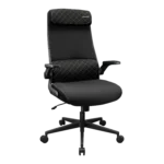 COUGAR Stryder Ergonomic Gaming Chair – Black – product view