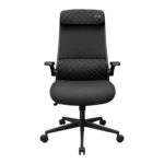 COUGAR Stryder Ergonomic Gaming Chair – Black – alternate view