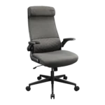 COUGAR Stryder Ergonomic Gaming Chair – Gray – product view