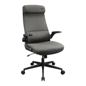 COUGAR Stryder Ergonomic Gaming Chair – Gray – product view