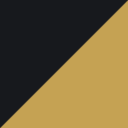 Black & Gold color swatch