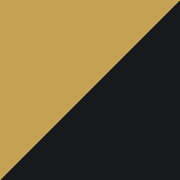Gold & Black color swatch